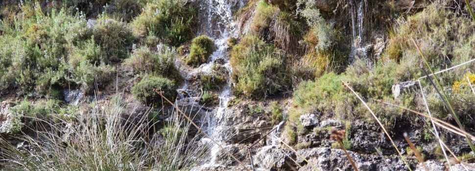 Vídeos: Rius i barrancs reviuen a l’abril