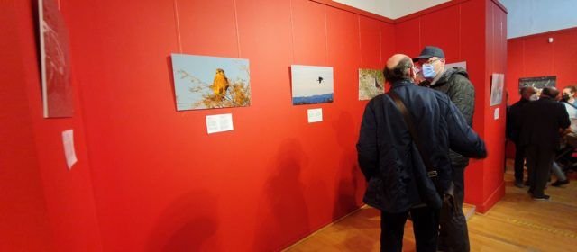 Exposición sobre biodiversidad a Vinaròs en memoria de Felip Redó