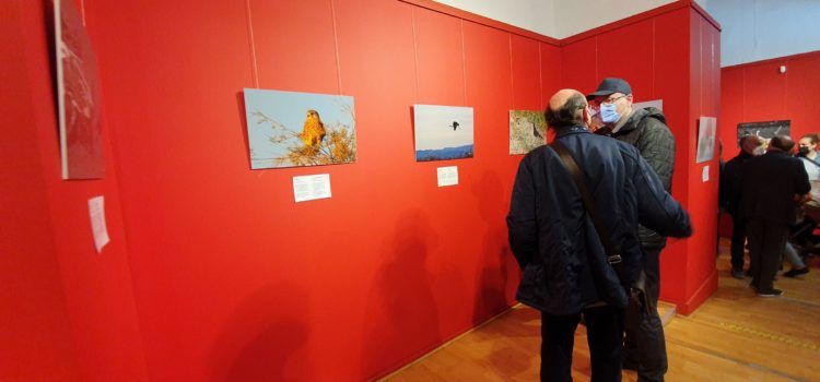 Exposición sobre biodiversidad a Vinaròs en memoria de Felip Redó
