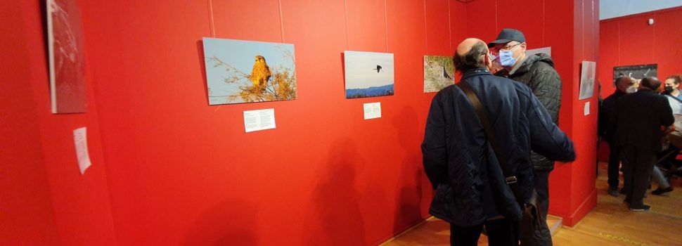 Exposición sobre biodiversidad a Vinaròs en memoria de Felip Redó