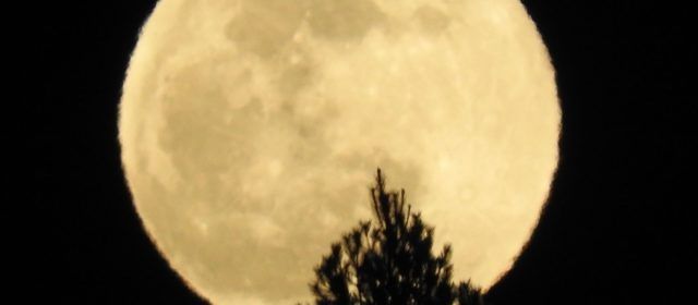 Fotos: La Lluna, des de Vallibona