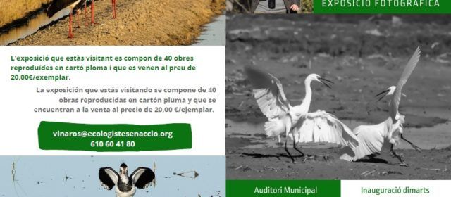 Exposició de fotos de Felip Redó sobre la biodiversidad del Maestrat y el Montsià