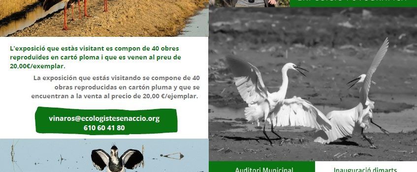 Exposició de fotos de Felip Redó sobre la biodiversidad del Maestrat y el Montsià
