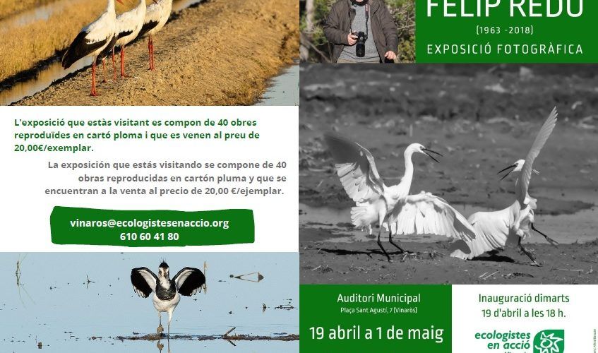 Exposició de fotos de Felip Redó sobre la biodiversidad del Maestrat y el Montsià
