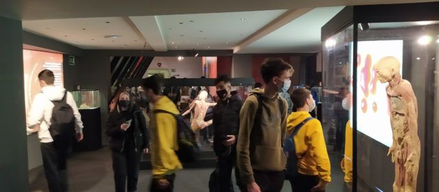 Eixida a Barcelona de l’IES Joan Coromines per visitar el museu Human Bodies i el Jardí Botànic
