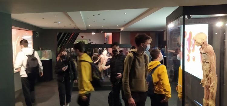 Eixida a Barcelona de l’IES Joan Coromines per visitar el museu Human Bodies i el Jardí Botànic