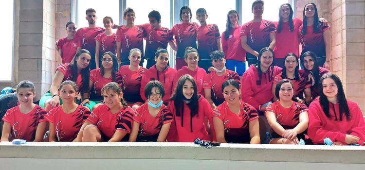 Club Natació Vinaròs: Control infantil, júnior i absolut