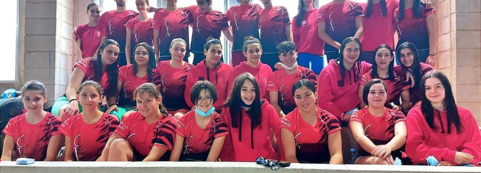 Club Natació Vinaròs: Control infantil, júnior i absolut
