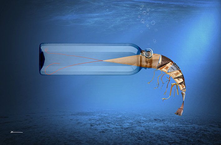 Vinaròs inicia una campanya de conscienciació ambiental per a protegir la mar