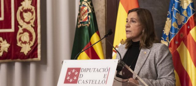 PP: Les retallades del PSOE en tractaments contra el mosquit reforcen una plaga extraordinària
