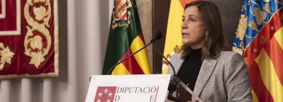 PP: Les retallades del PSOE en tractaments contra el mosquit reforcen una plaga extraordinària