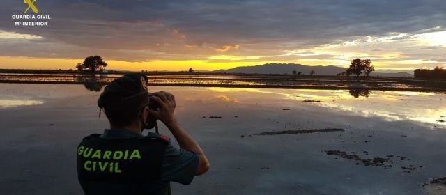 La Guardia Civil junto con la dirección técnica de la reserva de caza de l’Encanyissada revisan la señalización de la única reserva de caza de aves acuáticas que existe en Catalunya