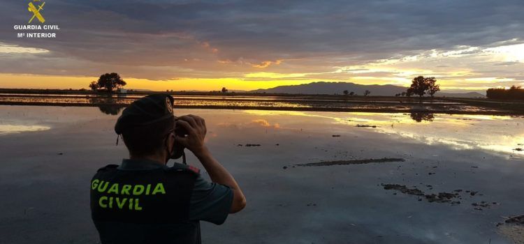 La Guardia Civil junto con la dirección técnica de la reserva de caza de l’Encanyissada revisan la señalización de la única reserva de caza de aves acuáticas que existe en Catalunya