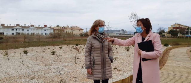 La rehabilitació del Barranquet aporta 3.700 metres quadrats més d’espai verd per a Benicarló