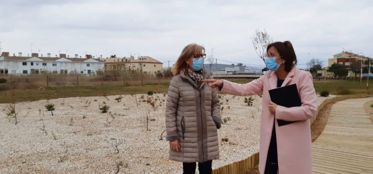 La rehabilitació del Barranquet aporta 3.700 metres quadrats més d’espai verd per a Benicarló