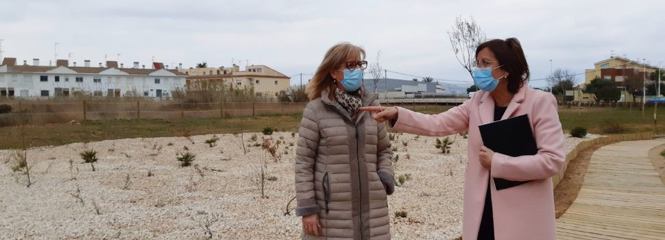 La rehabilitació del Barranquet aporta 3.700 metres quadrats més d’espai verd per a Benicarló