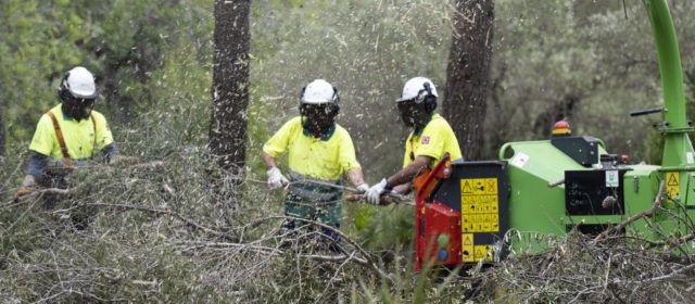 La Diputació de Castelló i la Generalitat inverteixen 2,4 milions d’euros per a activar 9 brigades de prevenció d’incendis a la província