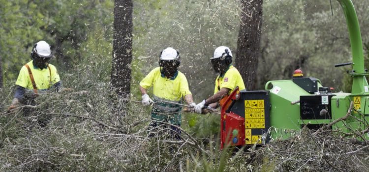 La Diputació de Castelló i la Generalitat inverteixen 2,4 milions d’euros per a activar 9 brigades de prevenció d’incendis a la província