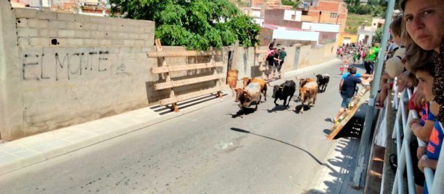 Fotos: prova del bou a Alcanar