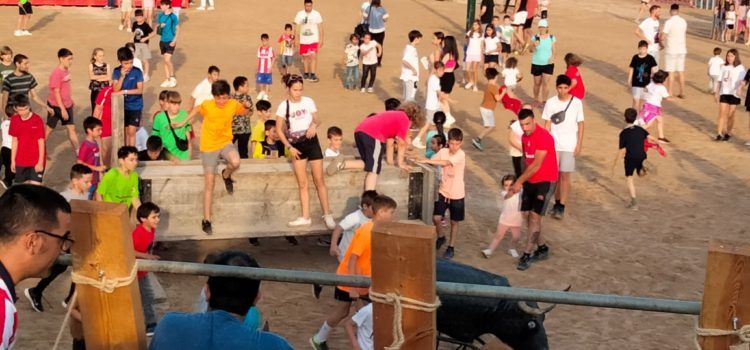 Fotos: bous a les festes d’Alcanar