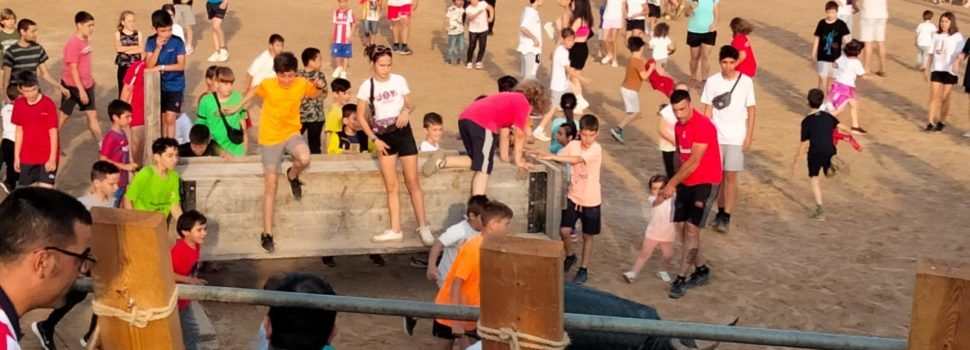 Fotos: bous a les festes d’Alcanar