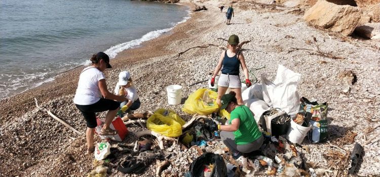 Recogidos 300 kg de residuos en la playa del río Senia