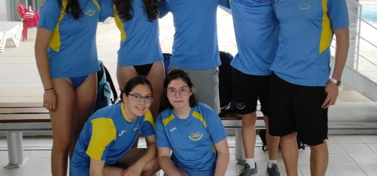 Actualitat del Club Natació Benicarló