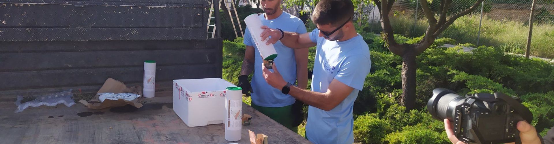 Vinaròs inicia un projecte pilot per a convertir els escocells en espais de biodiversitat