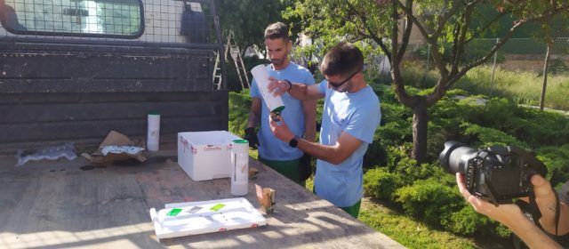 Vinaròs inicia un projecte pilot per a convertir els escocells en espais de biodiversitat