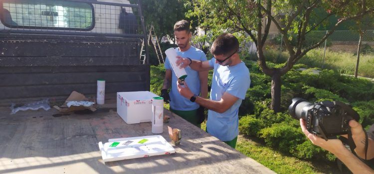 Vinaròs inicia un projecte pilot per a convertir els escocells en espais de biodiversitat