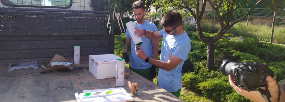 Vinaròs inicia un projecte pilot per a convertir els escocells en espais de biodiversitat