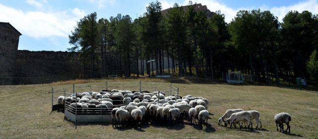Torna la Fira de Morella, rere dos anys de suspensió per la pandèmia