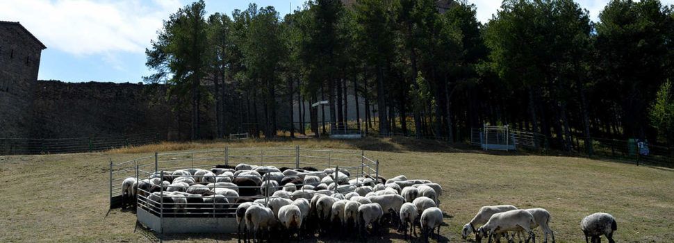 Torna la Fira de Morella, rere dos anys de suspensió per la pandèmia