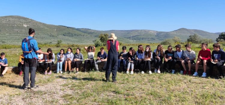 Visita de l’IES Leopoldo Querol a les pintures rupestres del barranc de la Valltorta