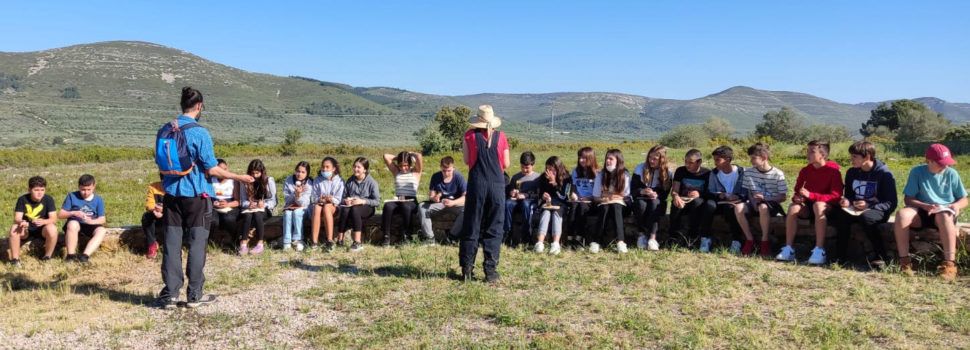 Visita de l’IES Leopoldo Querol a les pintures rupestres del barranc de la Valltorta