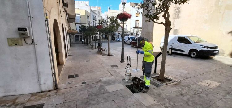 Els tractaments antimosquits s’intensifiquen després de les pluges persistents