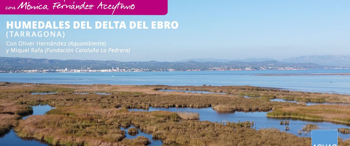 Fundación AQUAE centra sus ‘Encuentros para la Biodiversidad’ en los Humedales de Depuración del Delta del Ebro
