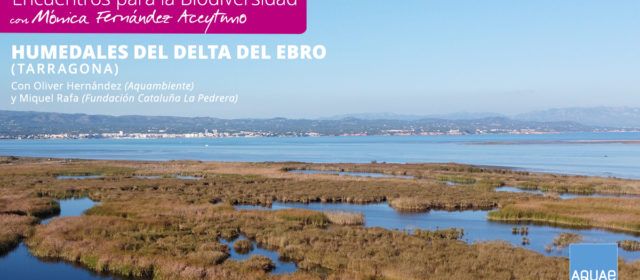 Fundación AQUAE centra sus ‘Encuentros para la Biodiversidad’ en los Humedales de Depuración del Delta del Ebro