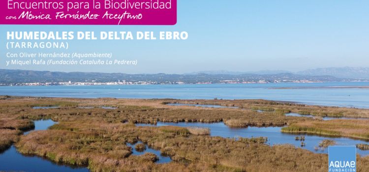 Fundación AQUAE centra sus ‘Encuentros para la Biodiversidad’ en los Humedales de Depuración del Delta del Ebro