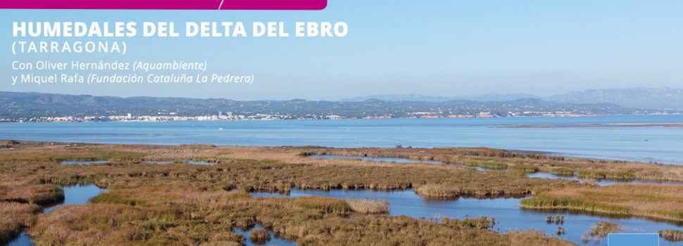 Fundación AQUAE centra sus ‘Encuentros para la Biodiversidad’ en los Humedales de Depuración del Delta del Ebro