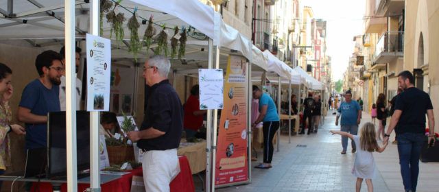 La fira Àgora d’Ulldecona posa el seu granet d’arena en el camí cap a la transició a una energia més sostenible i justa amb l’entorn