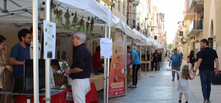 La fira Àgora d’Ulldecona posa el seu granet d’arena en el camí cap a la transició a una energia més sostenible i justa amb l’entorn