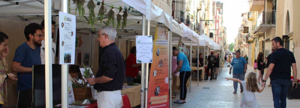 La fira Àgora d’Ulldecona posa el seu granet d’arena en el camí cap a la transició a una energia més sostenible i justa amb l’entorn