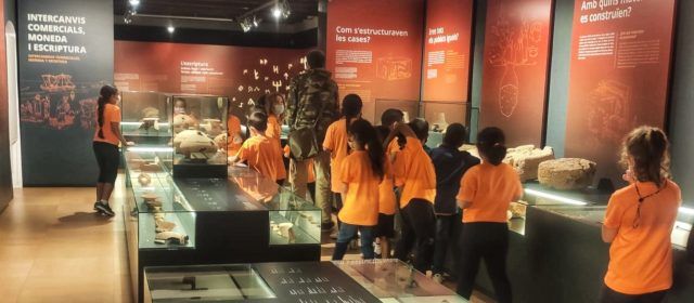 Més de 26.000 persones visiten l’exposició «Terra d’ibers» durant el primer any