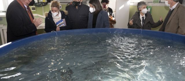 La Diputació i el CSIC acorden oferir dues beques en l’Institut d’Aqüicultura de Torre la Sal per a aprofundir en la investigació aqüícola