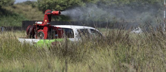 La Diputació de Castelló aplicarà tractaments terrestres contra els mosquits en 77 municipis de costa i interior