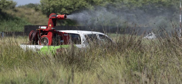 La Diputació de Castelló aplicarà tractaments terrestres contra els mosquits en 77 municipis de costa i interior