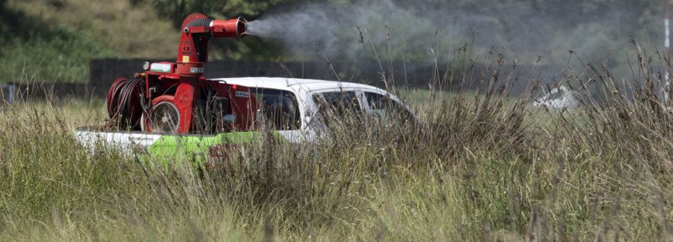 La Diputació de Castelló aplicarà tractaments terrestres contra els mosquits en 77 municipis de costa i interior