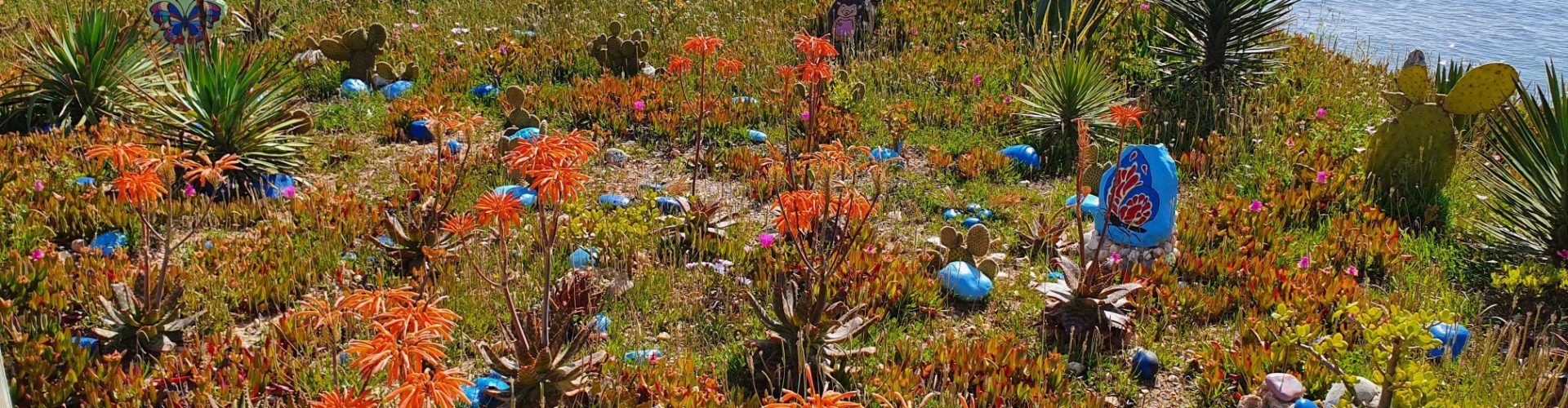 Fotos: El “jardí” de Cala Puntal, a Vinaròs, en primavera