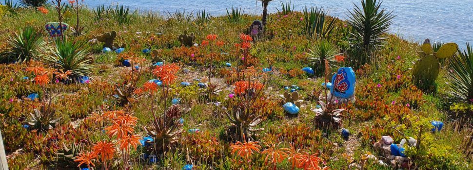 Fotos: El “jardí” de Cala Puntal, a Vinaròs, en primavera